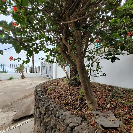 Casa Mariposa Monarca 2 Lägenhet