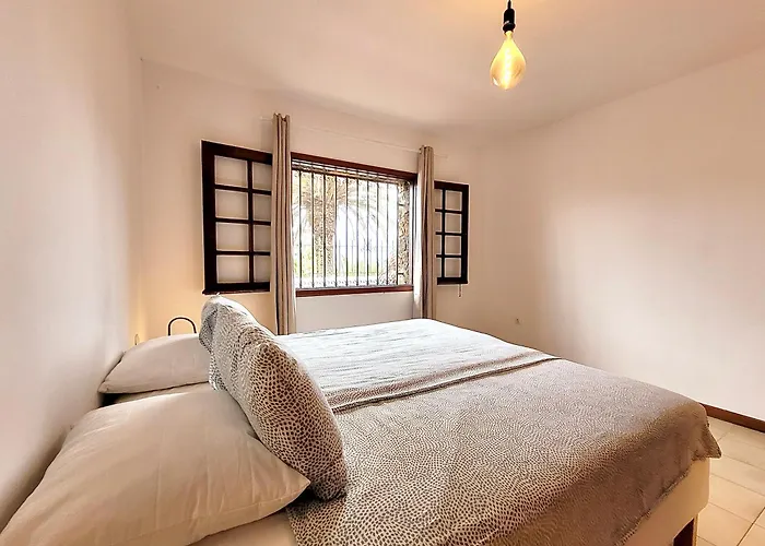 Casa Mariposa Monarca 2